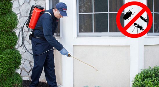 Atabey Gümüşkurt İlaçlama böcek ilaçlama ve haşere kontrolü — ilaclama-tr.com